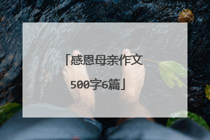 感恩母亲作文500字6篇