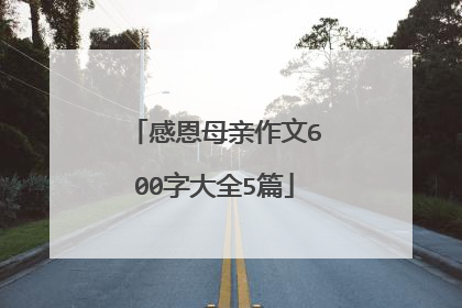 感恩母亲作文600字大全5篇