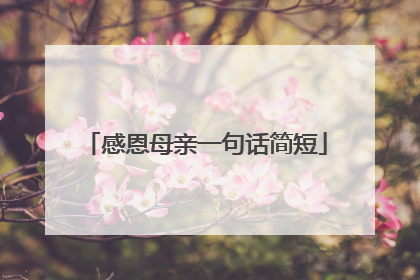 感恩母亲一句话简短