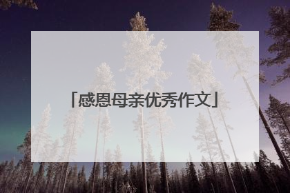 感恩母亲优秀作文