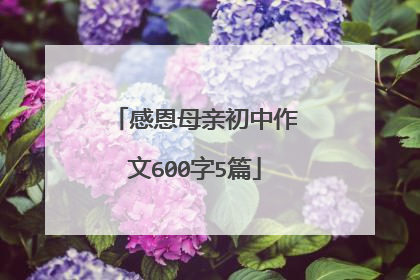 感恩母亲初中作文600字5篇