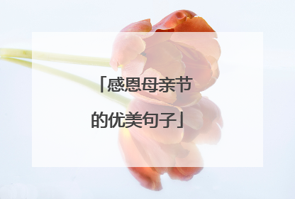 感恩母亲节的优美句子