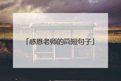 感恩老师的简短句子