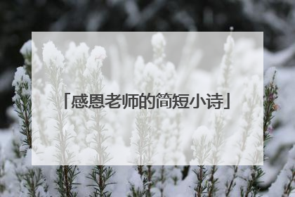 感恩老师的简短小诗