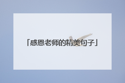 感恩老师的精美句子