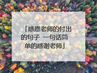 感恩老师的付出的句子 一句话简单的感谢老师
