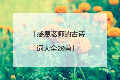 感恩老师的古诗词大全20首