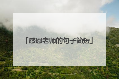 感恩老师的句子简短