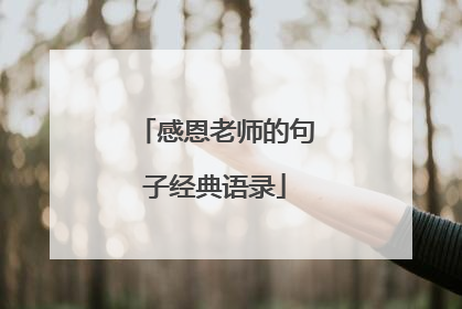 感恩老师的句子经典语录