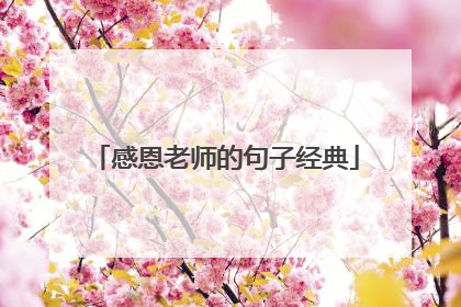 感恩老师的句子经典