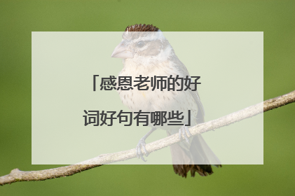 感恩老师的好词好句有哪些