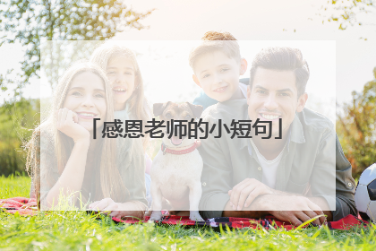 感恩老师的小短句