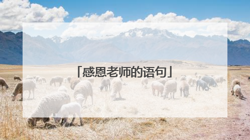 感恩老师的语句