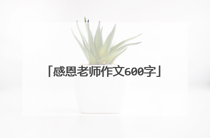 感恩老师作文600字