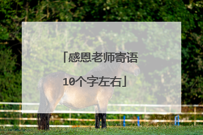 感恩老师寄语10个字左右