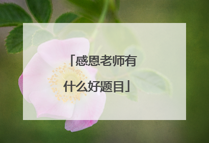 感恩老师有什么好题目