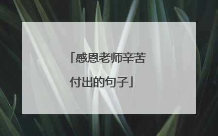 感恩老师辛苦付出的句子