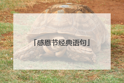 感恩节经典语句