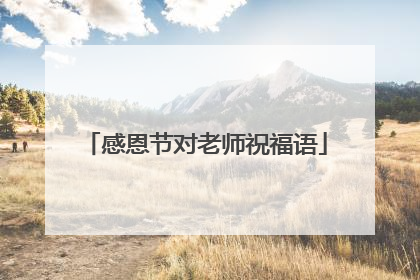 感恩节对老师祝福语