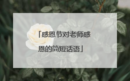 感恩节对老师感恩的简短话语