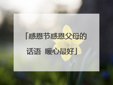 感恩节感恩父母的话语 暖心最好
