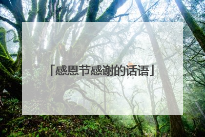 感恩节感谢的话语