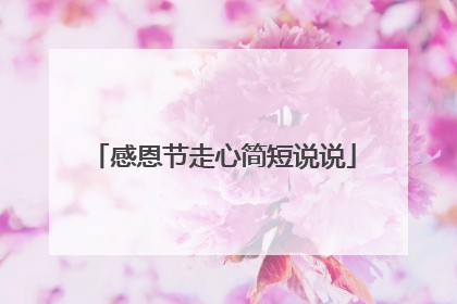 感恩节走心简短说说