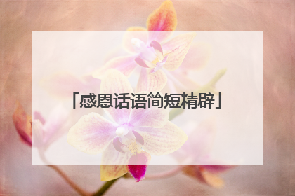 感恩话语简短精辟