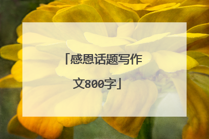 感恩话题写作文800字