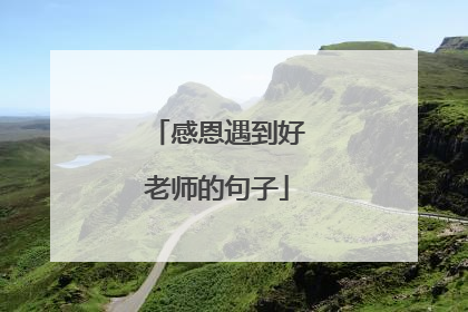 感恩遇到好老师的句子