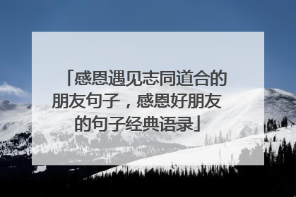 感恩遇见志同道合的朋友句子，感恩好朋友的句子经典语录