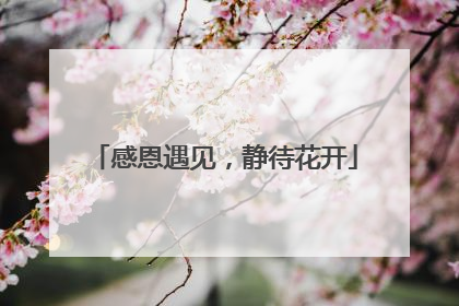 感恩遇见,静待花开