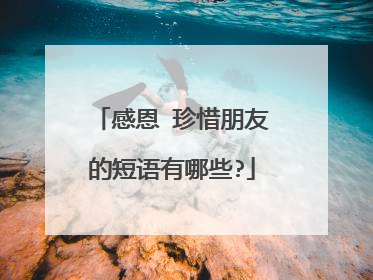 感恩 珍惜朋友的短语有哪些?