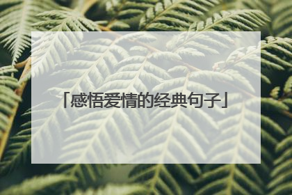 感悟爱情的经典句子