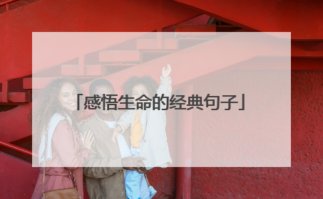 感悟生命的经典句子