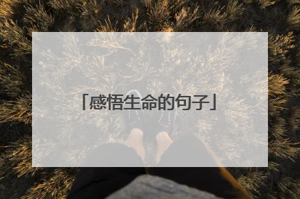 感悟生命的句子