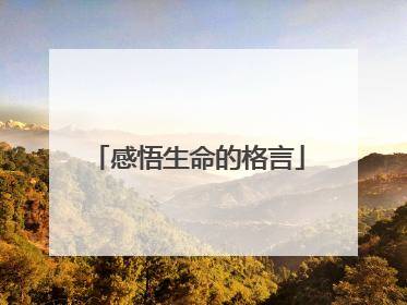 感悟生命的格言