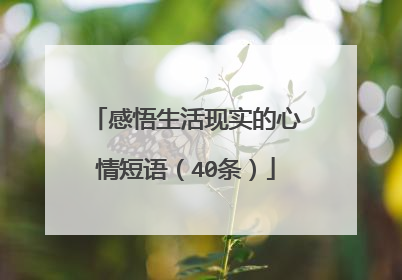 感悟生活现实的心情短语(40条)