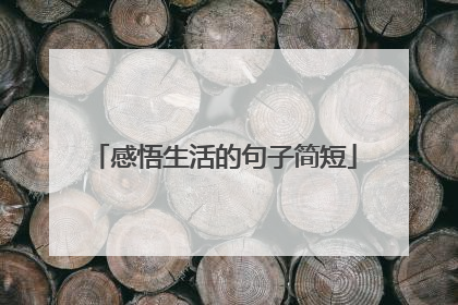 感悟生活的句子简短