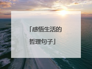 感悟生活的哲理句子