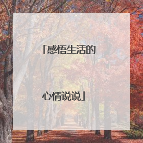 感悟生活的心情说说