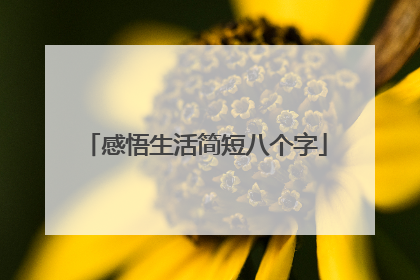 感悟生活简短八个字