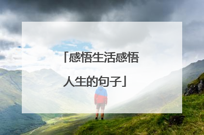 感悟生活感悟人生的句子