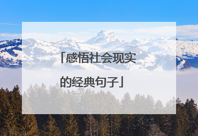 感悟社会现实的经典句子