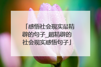 感悟社会现实最精辟的句子_超精辟的社会现实感悟句子