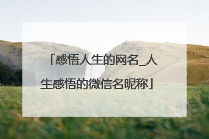 感悟人生的网名_人生感悟的微信名昵称