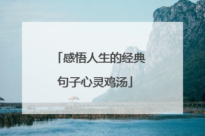 感悟人生的经典句子心灵鸡汤