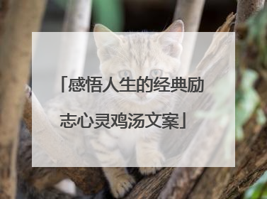 感悟人生的经典励志心灵鸡汤文案