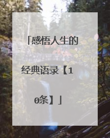 感悟人生的经典语录【10条】