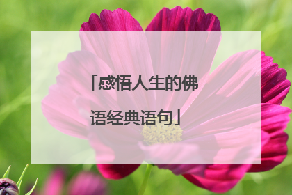感悟人生的佛语经典语句